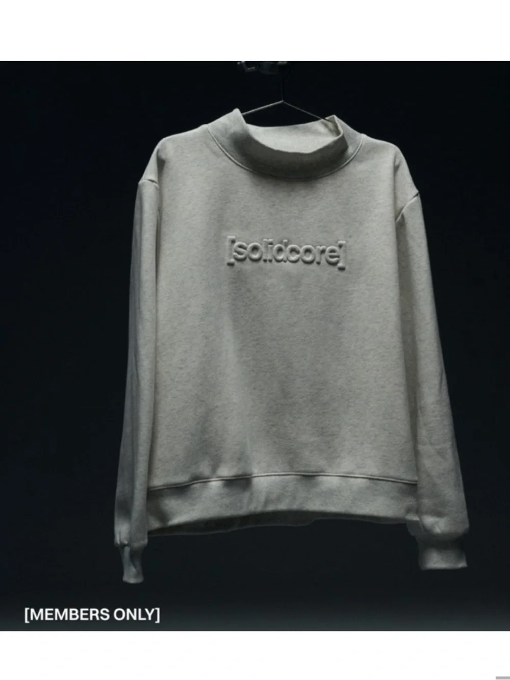 Solidcore Solidays Mockneck Size small New in Original Solidcore Tote bag - Picture 1 of 16